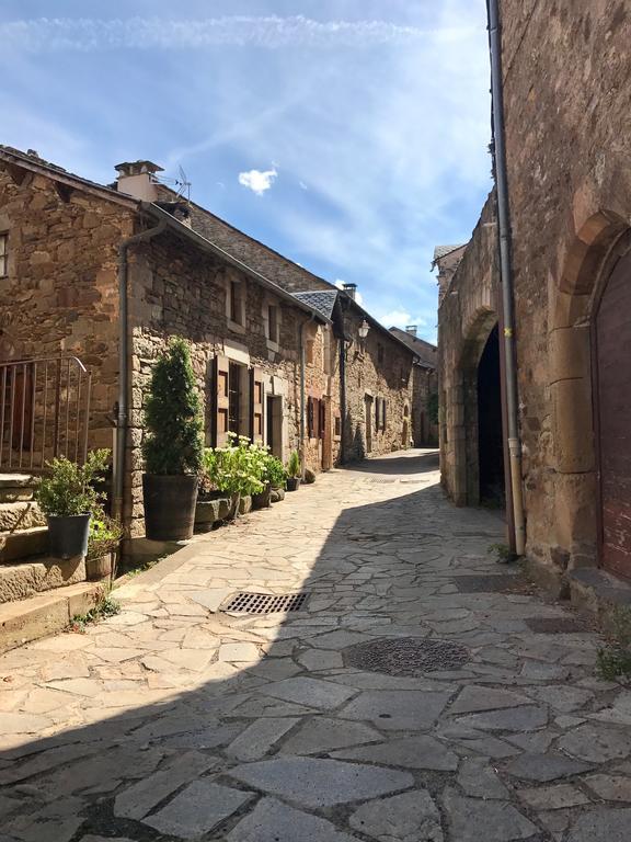 La Petite Maison Des Artistes Castelnau-Pégayrols Rom bilde
